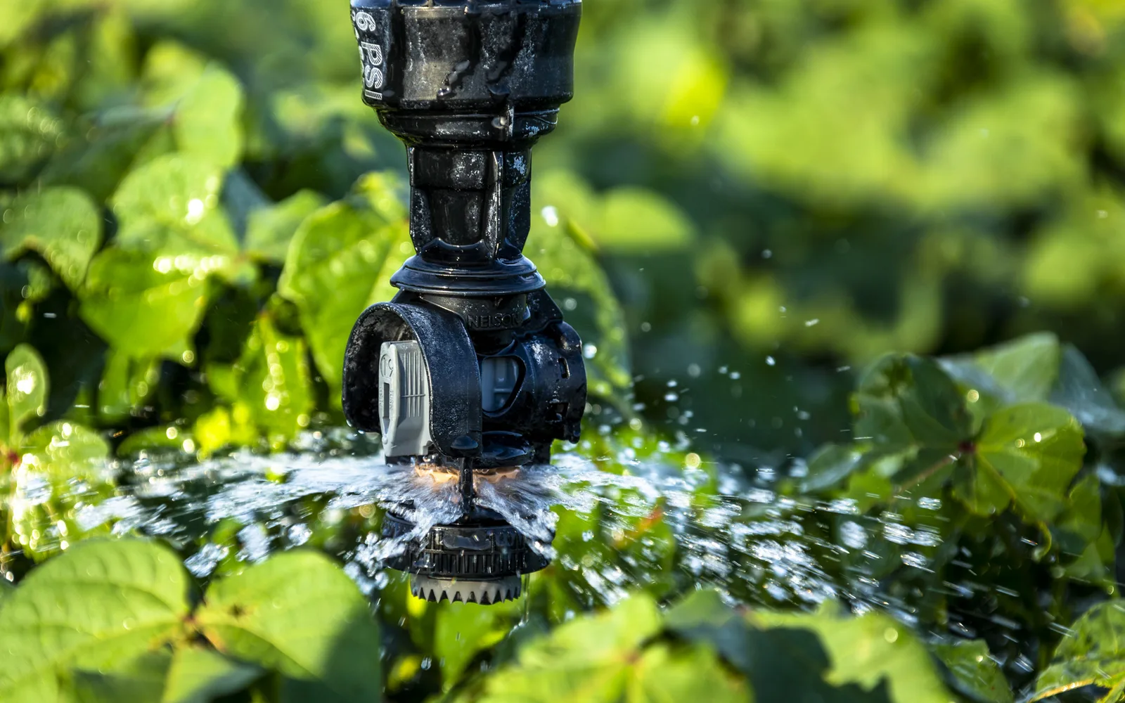 Center pivot irrigation system spraying water over agricultural field